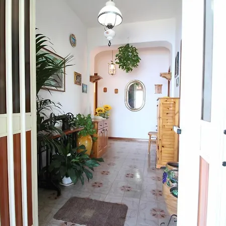 Panorama *